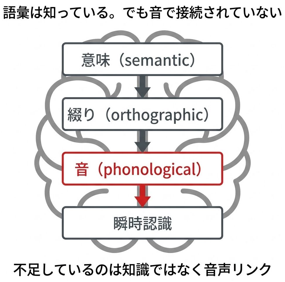 知識不足ではなく音声リンク不足が原因