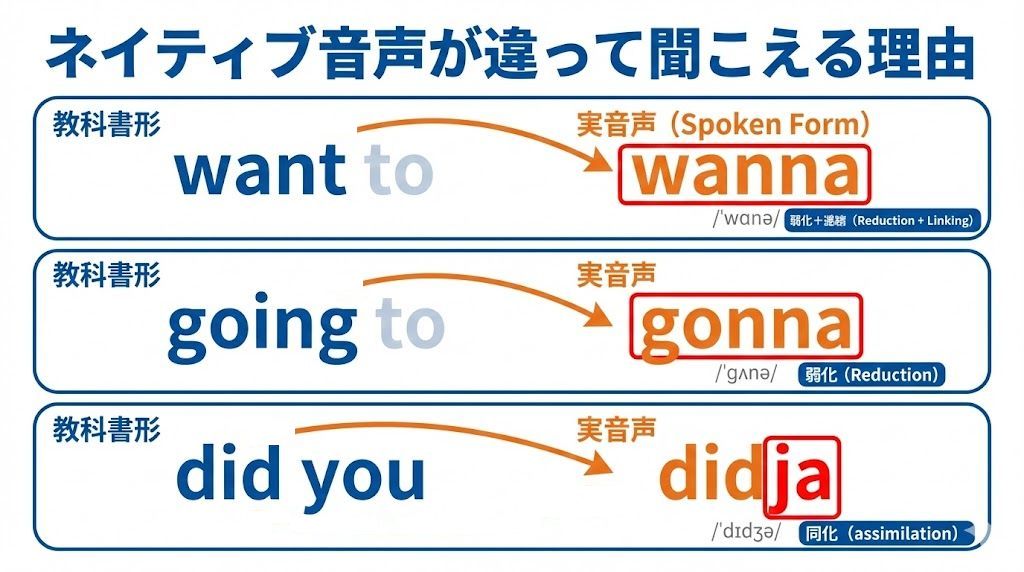 ネイティブ音声が違って聞こえる理由